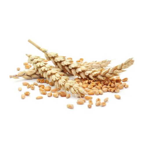 Getreidekörner mit Ähren