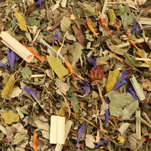 Detailansicht Jungbrunnen Kräutertee