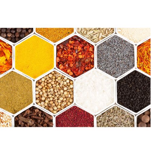 Verschiedene Gewürze in wabenförmigen Schalen dargstellt