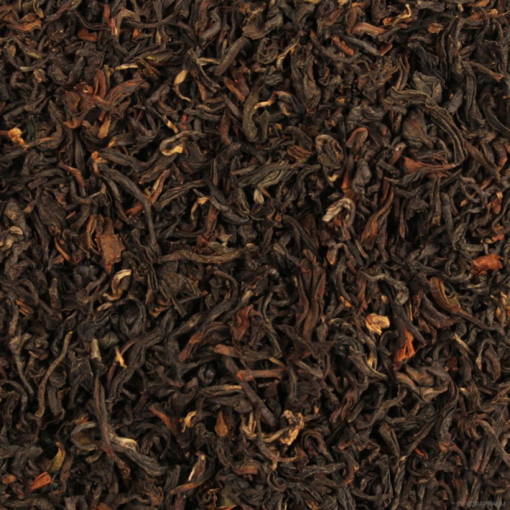 Detailansicht Lingia