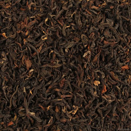 Detailansicht Lingia