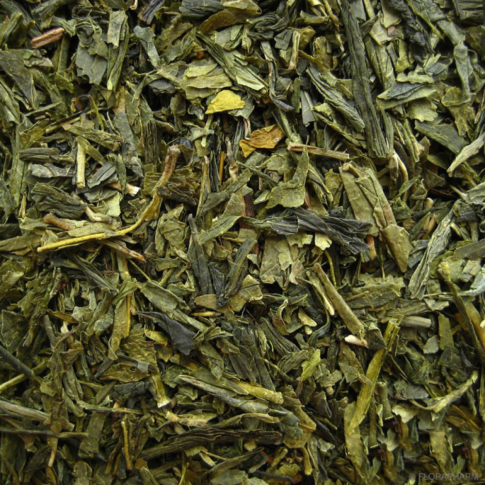 Detailansicht Sencha