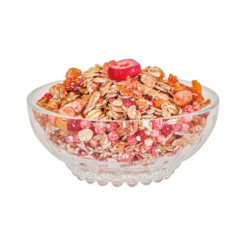 Bio Cranberry Johannisbeer Müsli in einer Glasschale