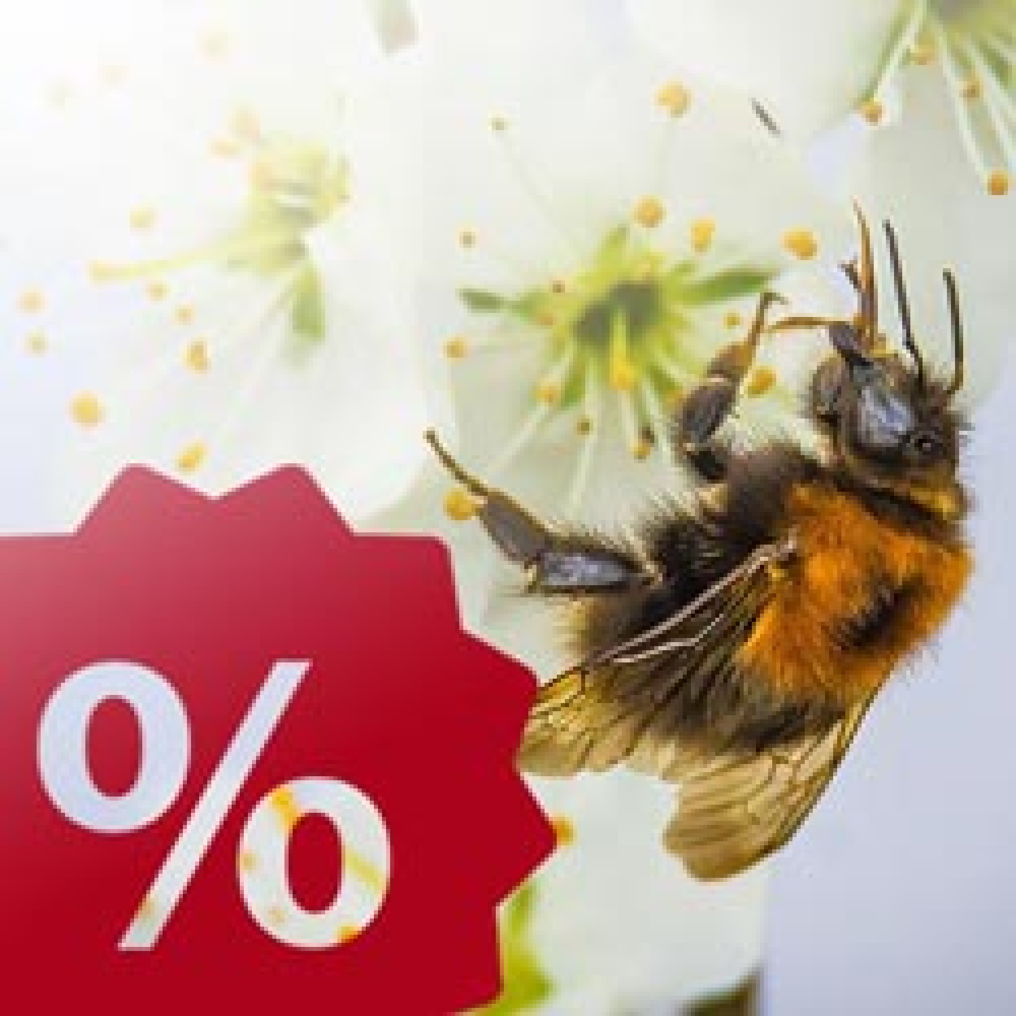 Entdecken Sie unsere aktuellen Angebote