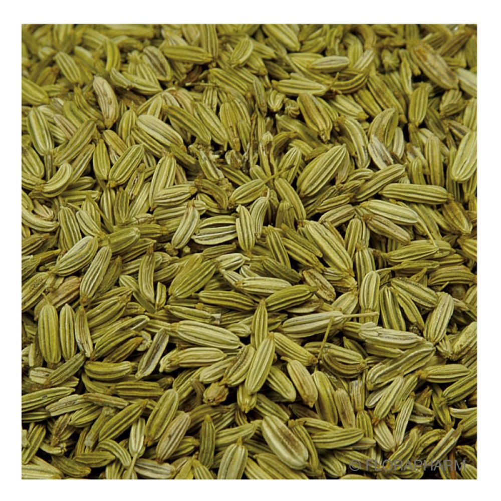 Detailansicht Fencheltee ganz